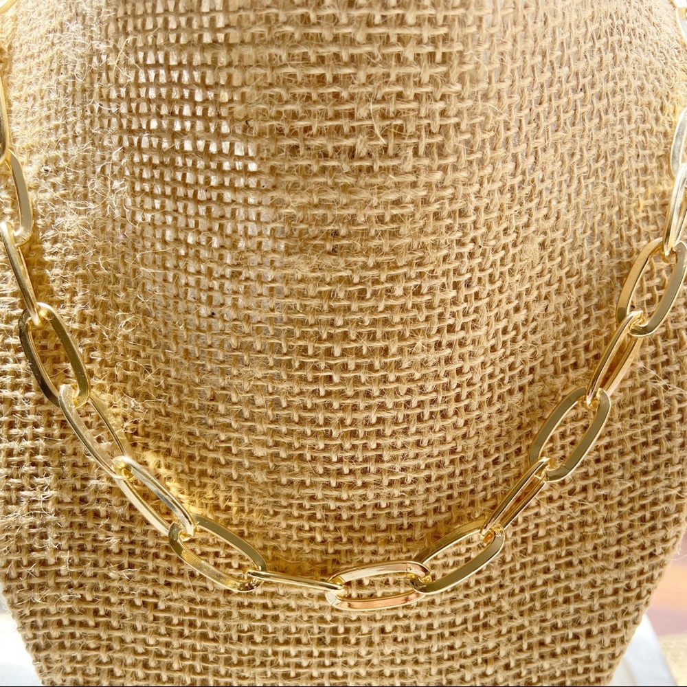 Gold Link Chain — Spring Basic - Picture 1 of 4